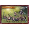 Warhammer Fantasy Battle: Beastmen Ungor Herd