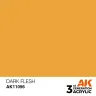 AK Interactive: General Series - Dark Flesh