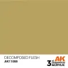 AK Interactive: General Series - Decomposed Flesh