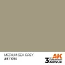 AK Interactive: General Series - Medium Sea Grey