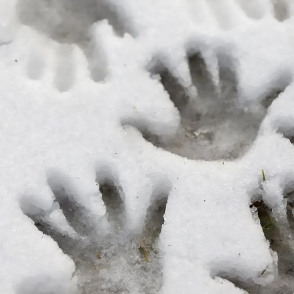 AK Interactive: Ice Sparkles