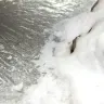 AK Interactive: Snow Sprinkles