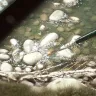 AK Interactive: Water Gel Effects