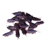 Fake Cockroaches