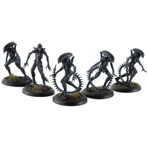 Aliens vs Predator: Alien Infants
