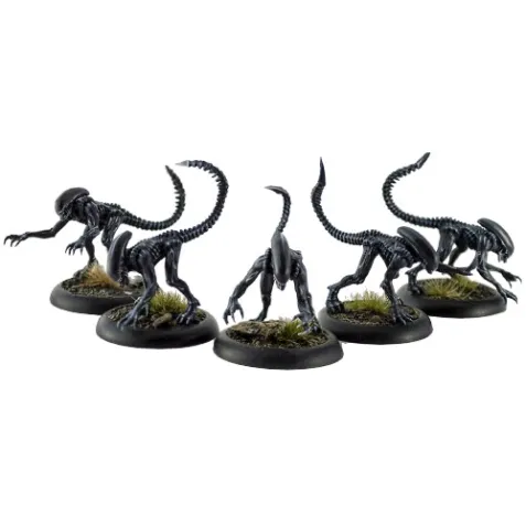 Aliens vs Predator: Alien Stalkers