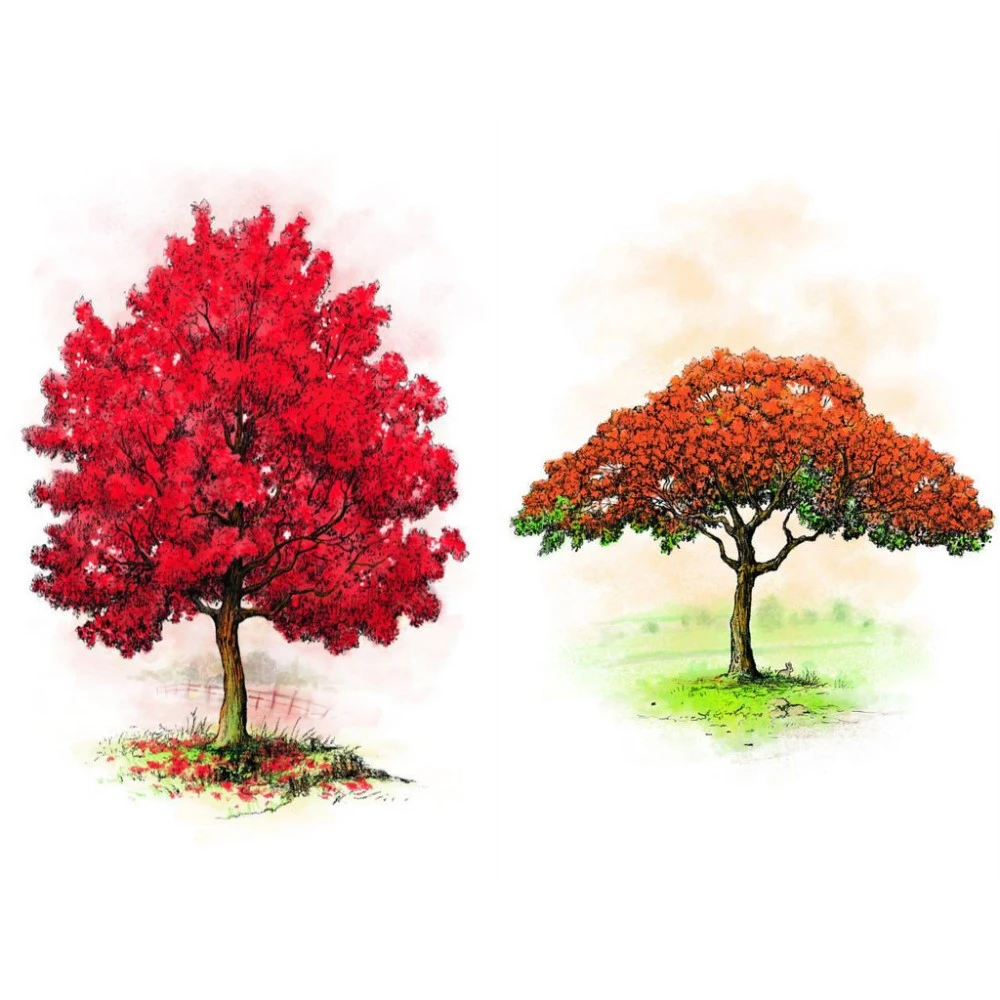 Arboretum