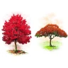 Arboretum