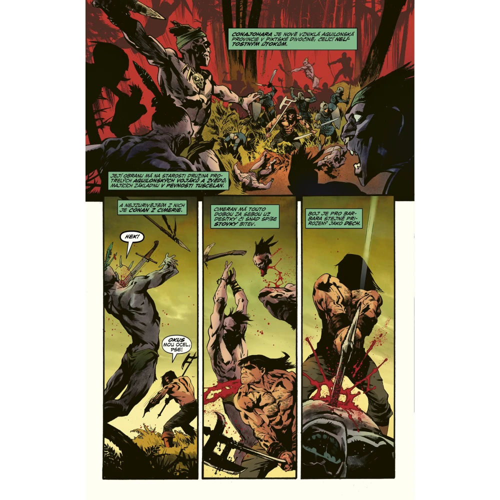 Barbar Conan 4: Netvor z černého kamene