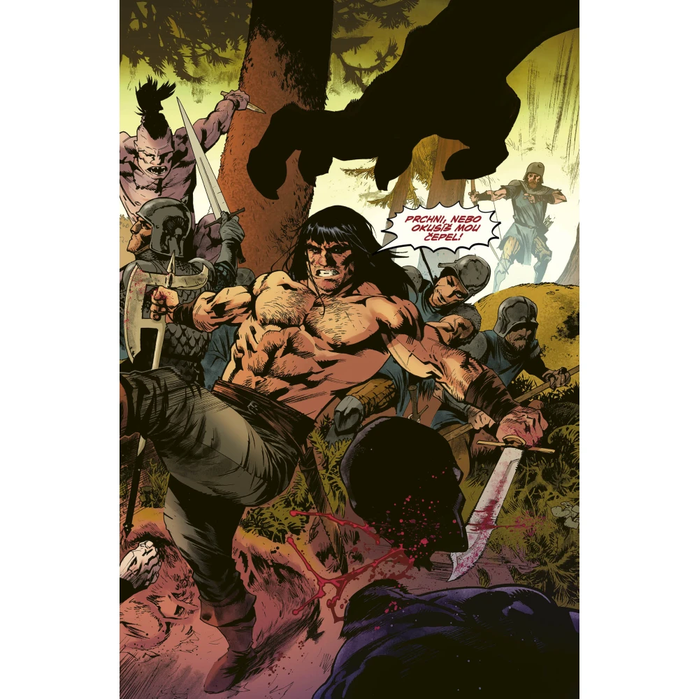 Barbar Conan 4: Netvor z černého kamene