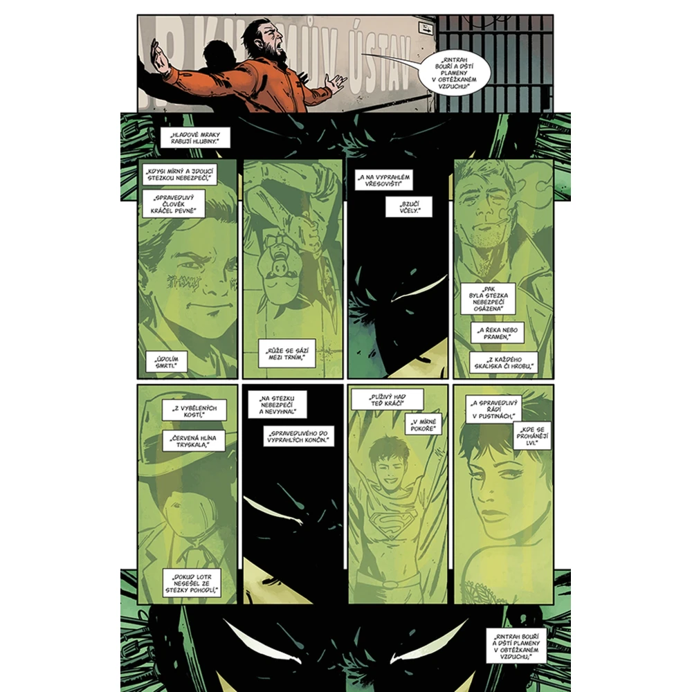 Batman 11: Pád a padlí