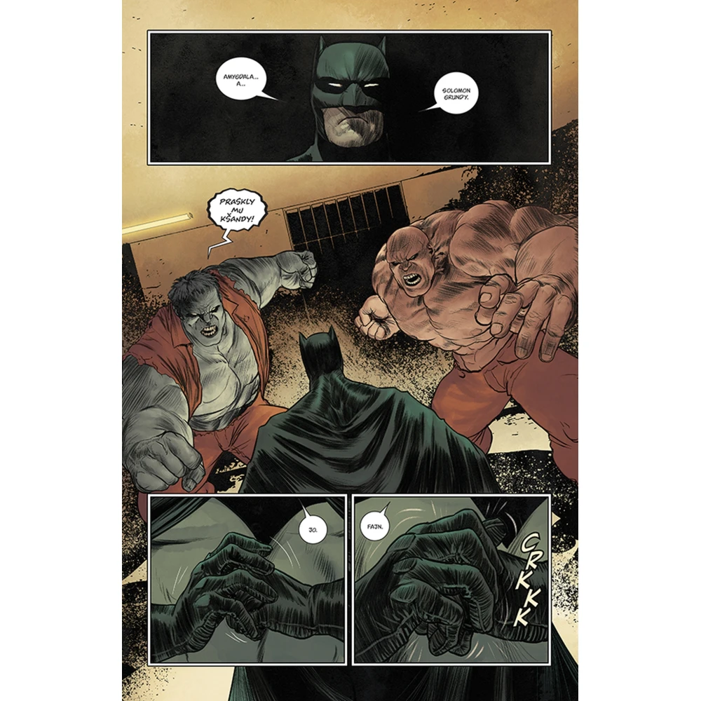 Batman 11: Pád a padlí