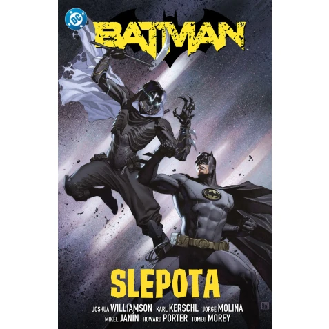 Batman 7: Slepota
