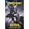 Batman 7: Slepota