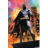 Batman 7: Slepota