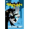 Batman 8: Chladné dny