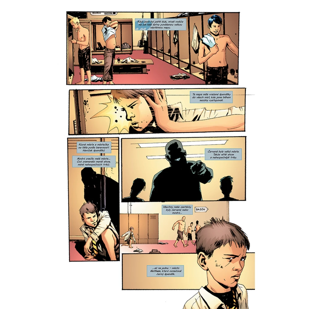 Batman: Černé zrcadlo (Legendy DC)