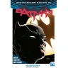 Batman 1: Já jsem Gotham