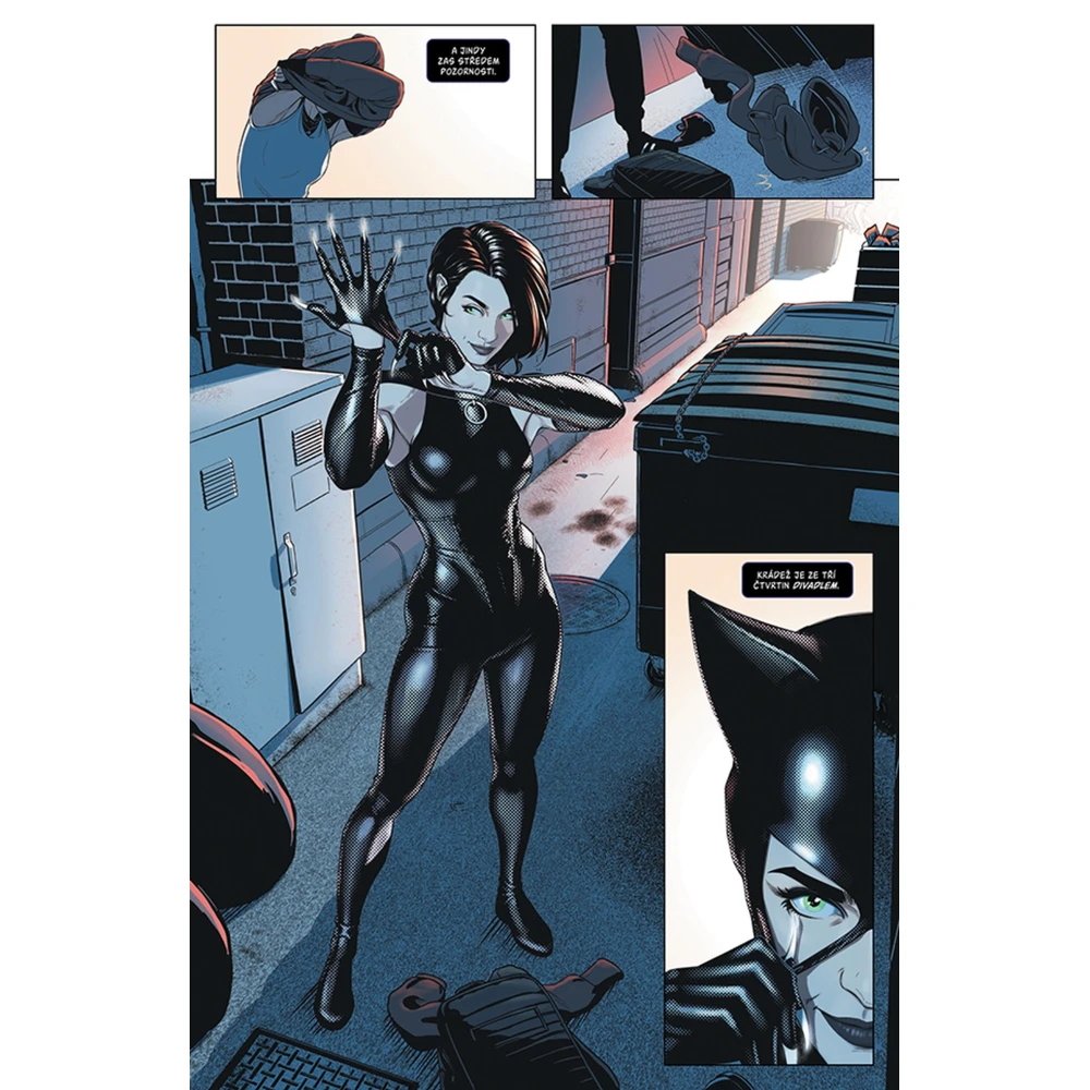 Batman - Špatný den: Catwoman / Mr. Freeze