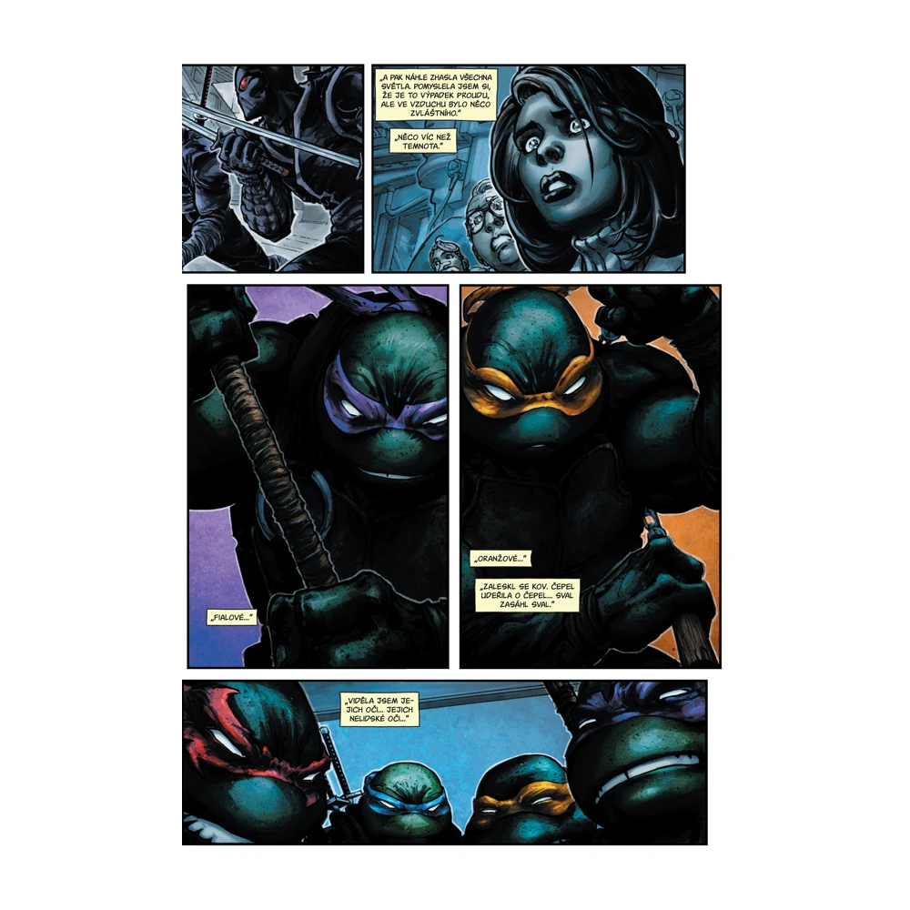 Batman/Želvy nindža 1 (brož)