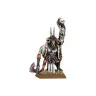 Warhammer Fantasy Battle: Beastmen Great Bray Shaman 2