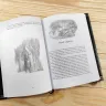 Beren a Lúthien