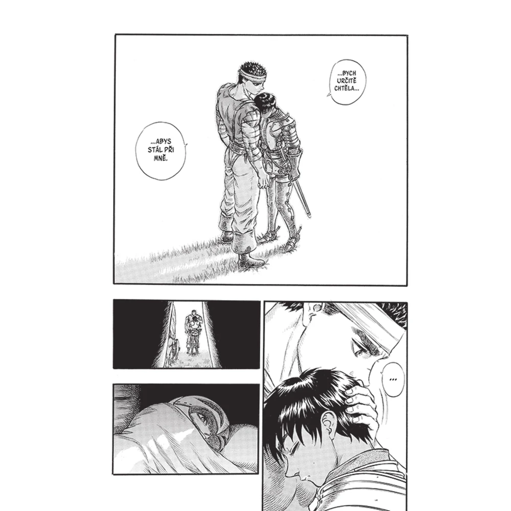 Berserk 12