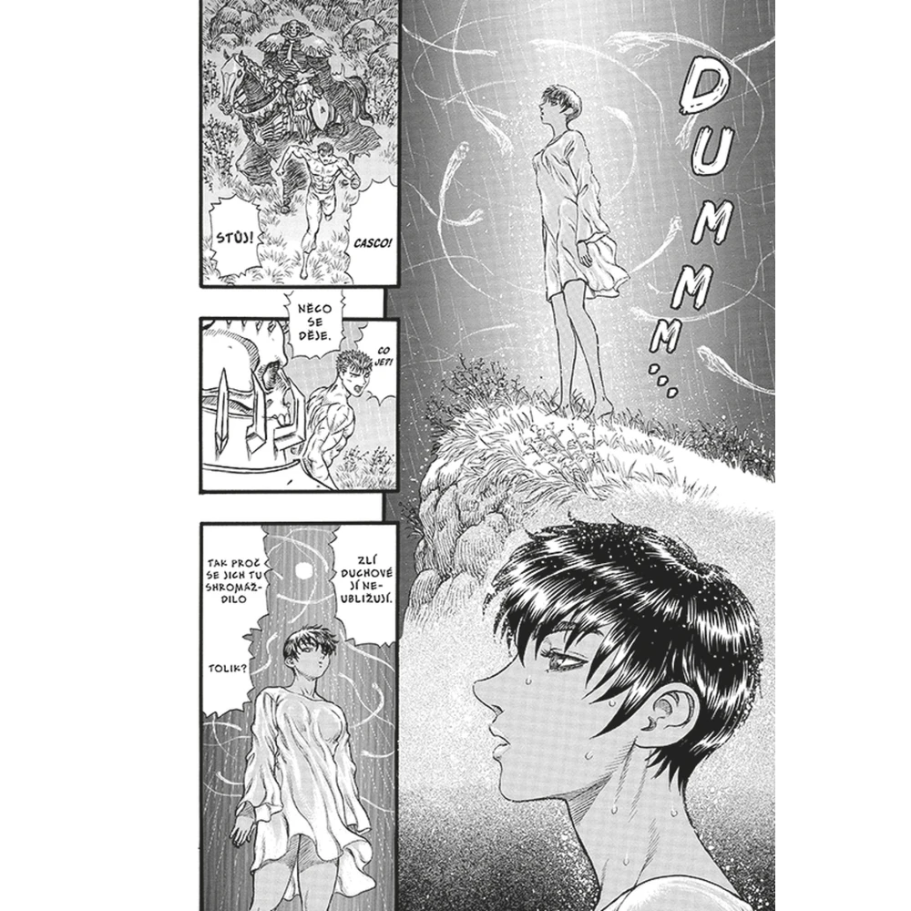 Berserk 14