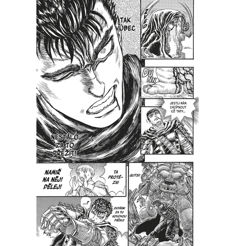 Berserk 14