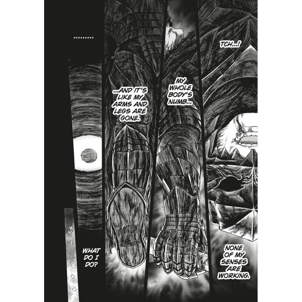 Berserk Deluxe Volume 13