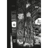Berserk Deluxe Volume 13