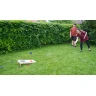 Bex Cornhole Original