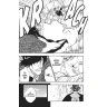 Bleach 26: The Mascaron Drive