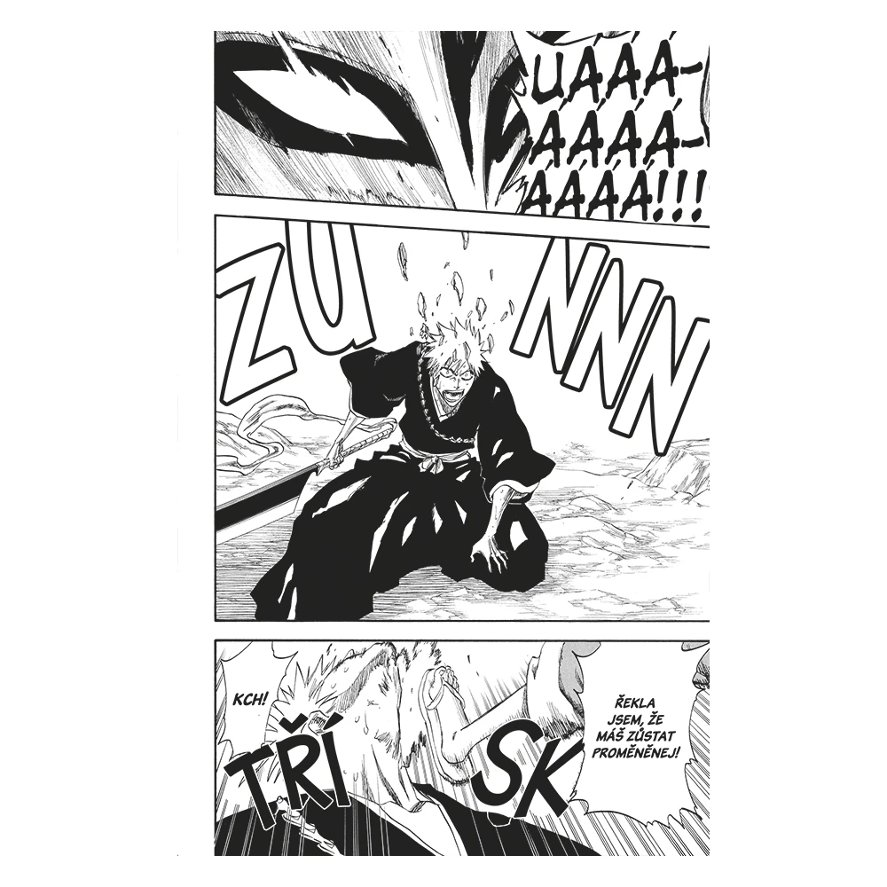 Bleach 26: The Mascaron Drive
