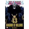 Bleach 43: Kingdom of Hollows