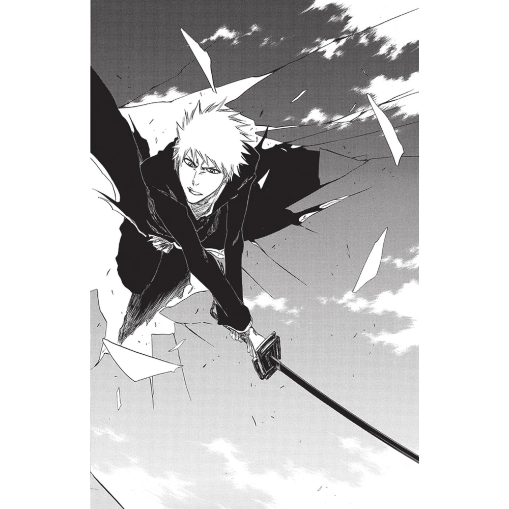 Bleach 45: The Burnout Inferno