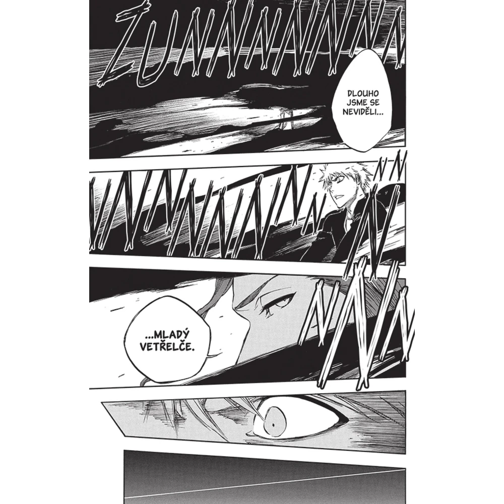 Bleach 45: The Burnout Inferno