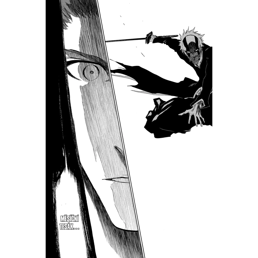 Bleach 46: Back From Blind