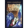 Bludiště odrazů