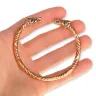 Furious Dog Bronze Bracelet