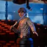 Star Wars: Episode V - Luke Skywalker Bust