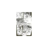 Carciphona 6