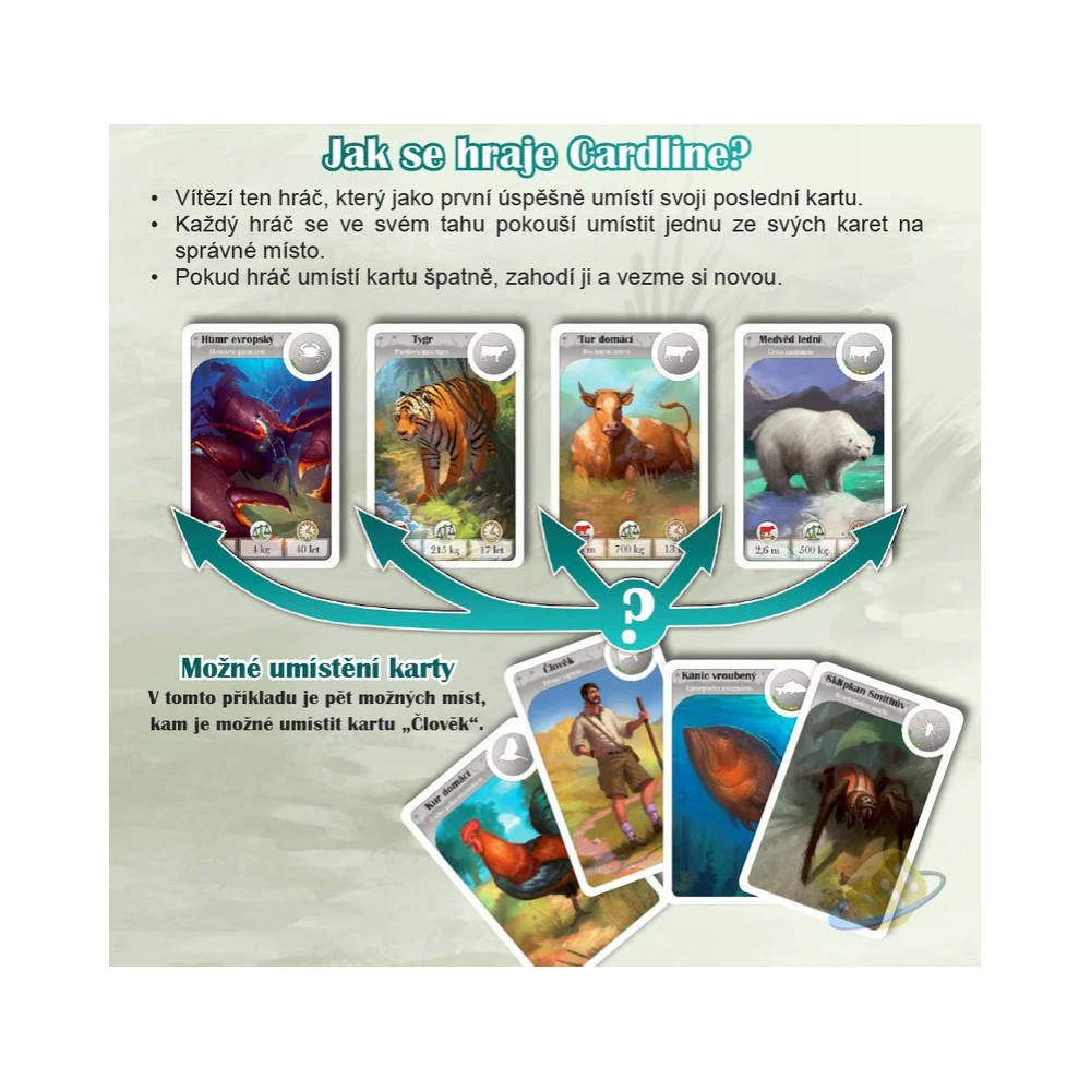 Cardline: Svět zvířat