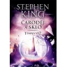 Čaroděj a sklo - Temná věž IV.