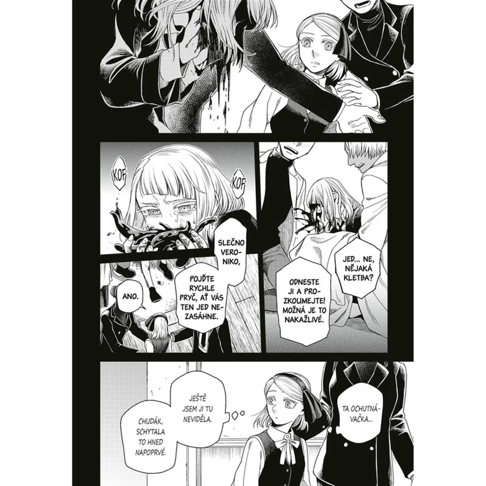 Čarodějova nevěsta 16