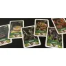 Castlecards