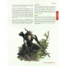 Castles & Crusades - Players Handbook
