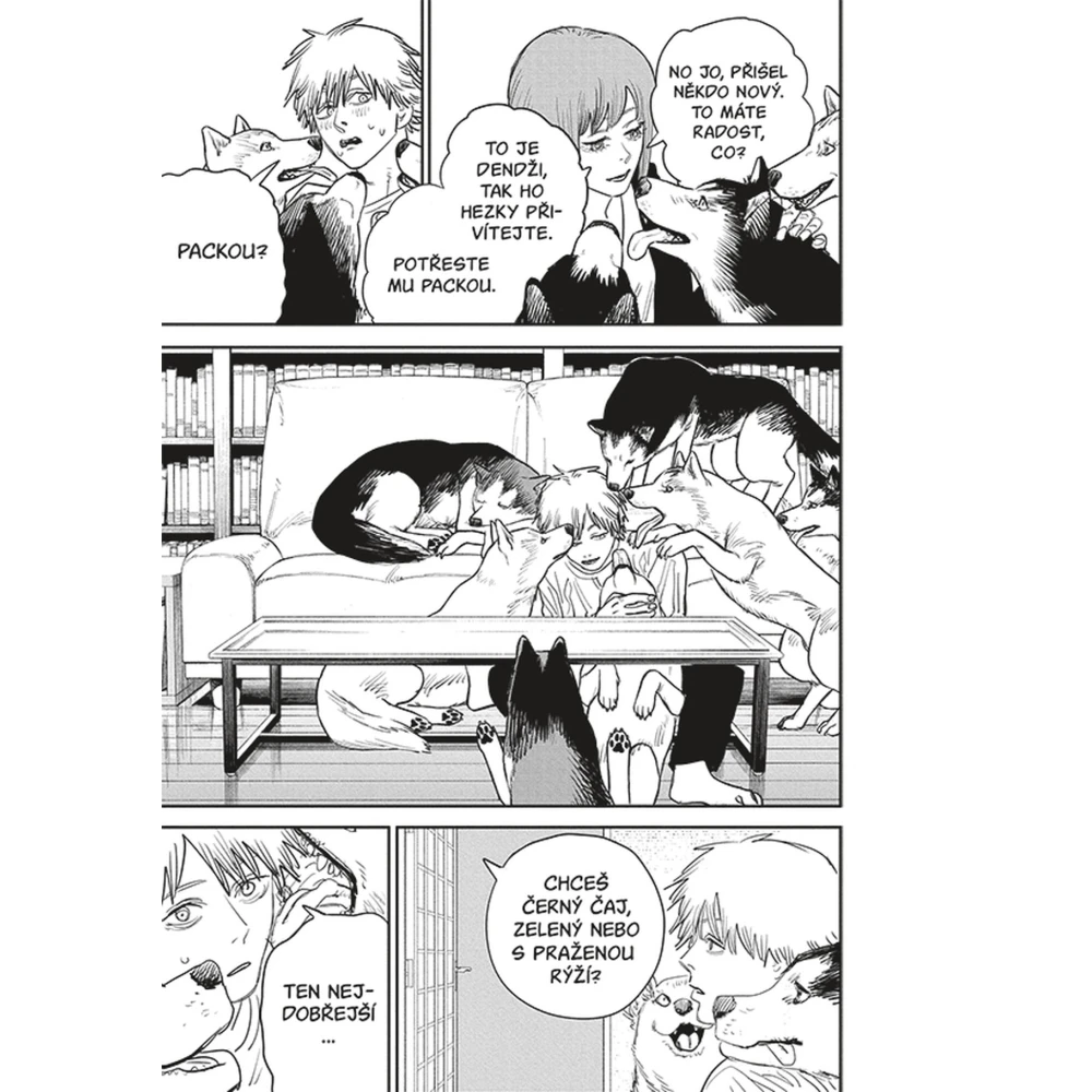Chainsaw Man 10: Psí city