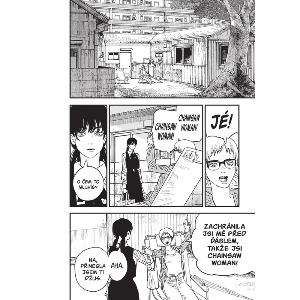 Chainsaw Man 13: Spoiler
