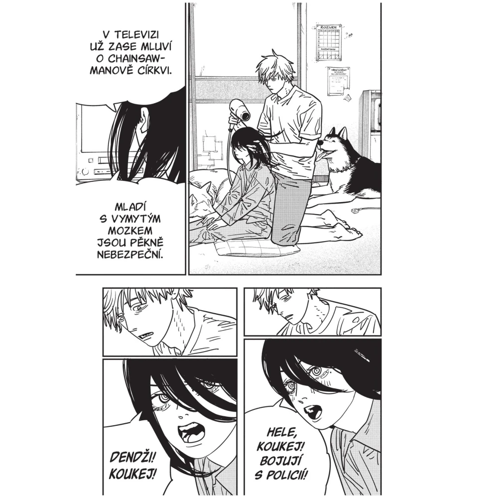 Chainsaw Man 16: Ordinary Happiness